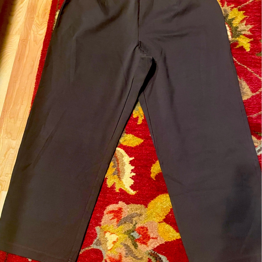 Women’s pull on Eileen Fisher slacks